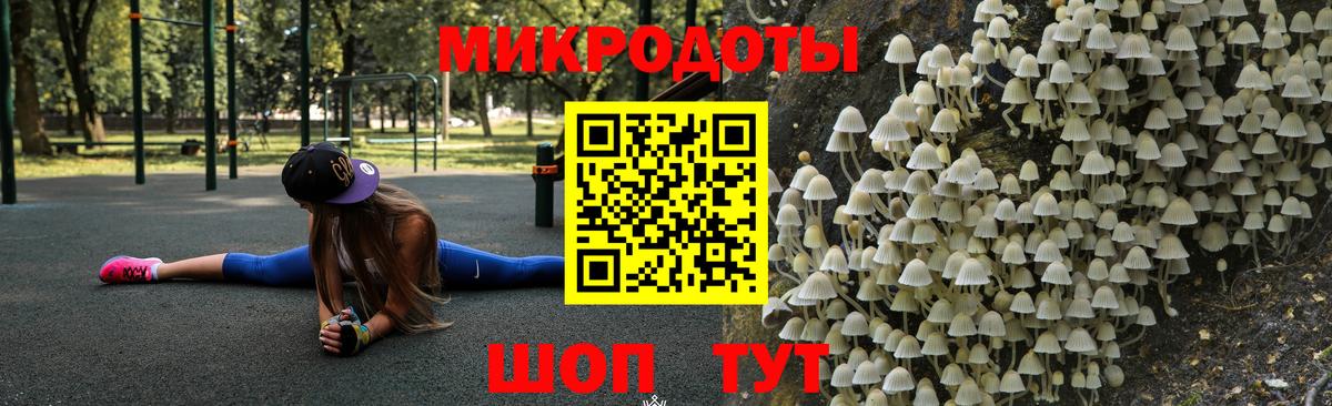 Галлюциногенные грибы Cubensis Белореченск