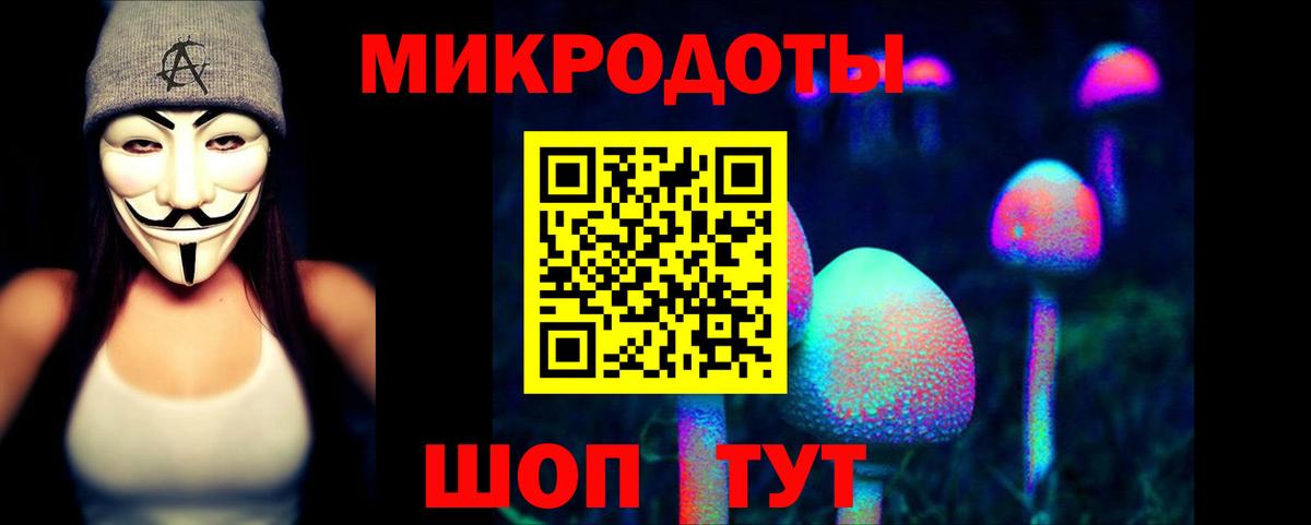 Псилоцибиновые грибы Cubensis  Вход с VPN  Белореченск 